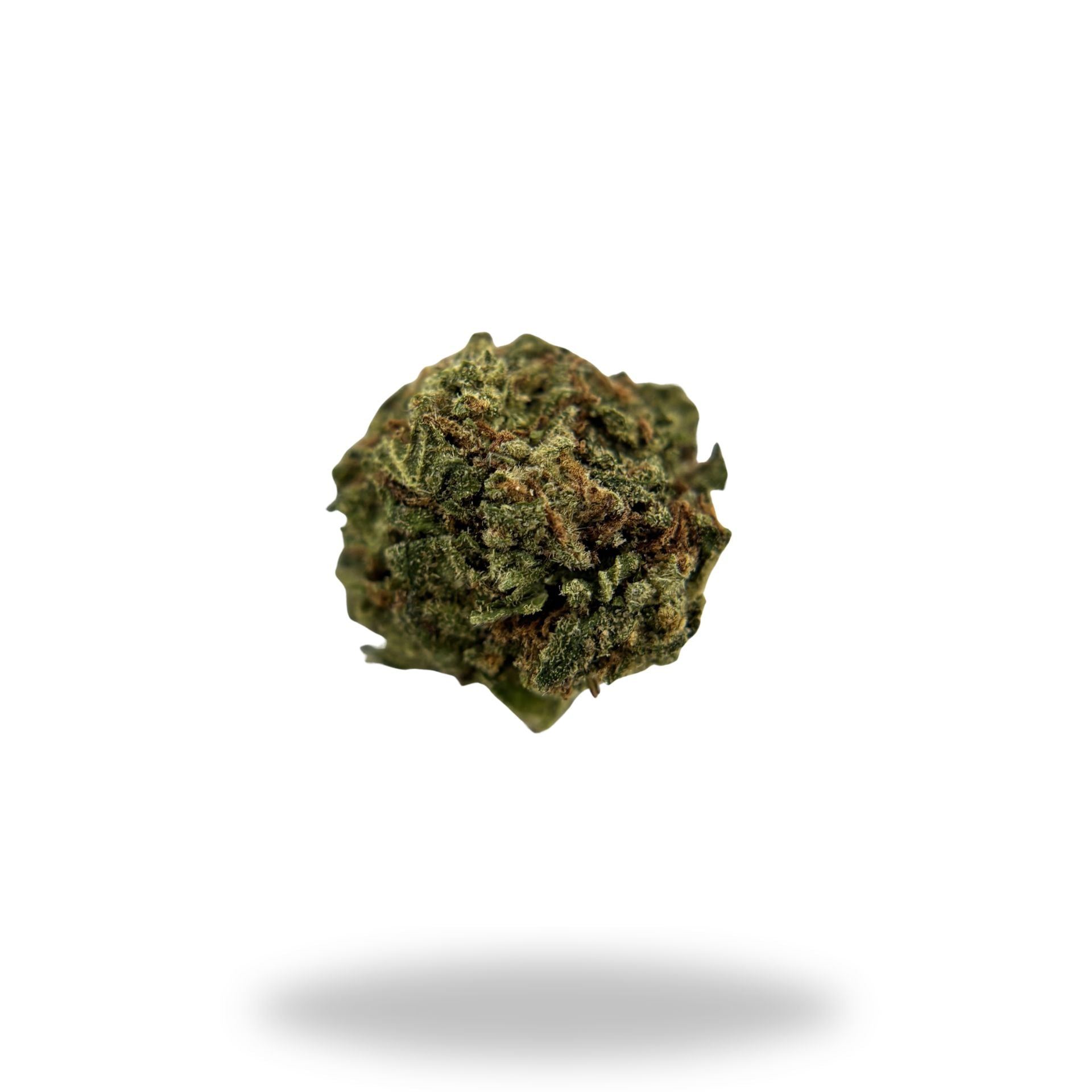 GMO Cookies Legacy Farms Harvest Collection Flower Flower Legacy Farms 