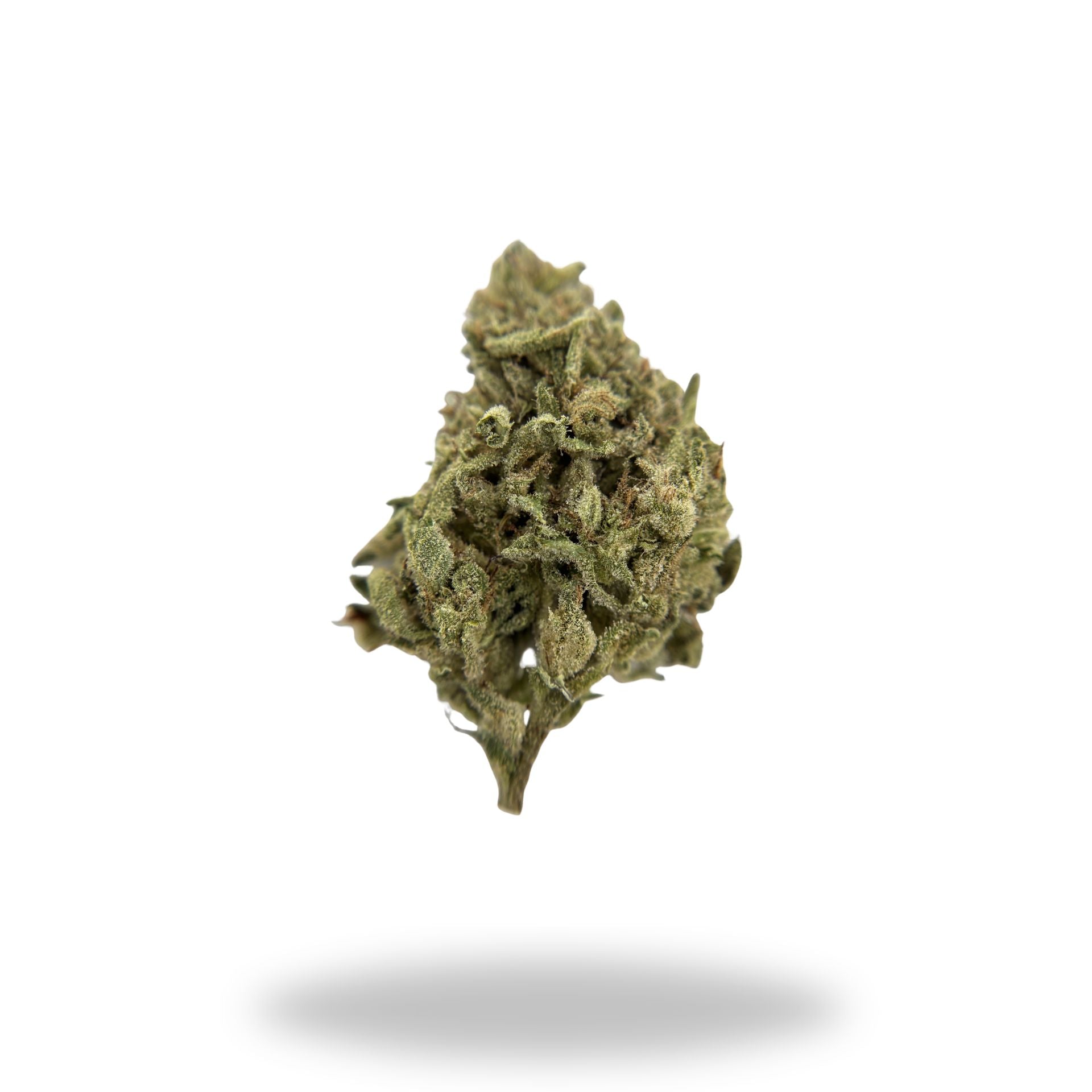 Gooshmintz Legacy Farms Grade A THCa Flower Flower Legacy Farms 