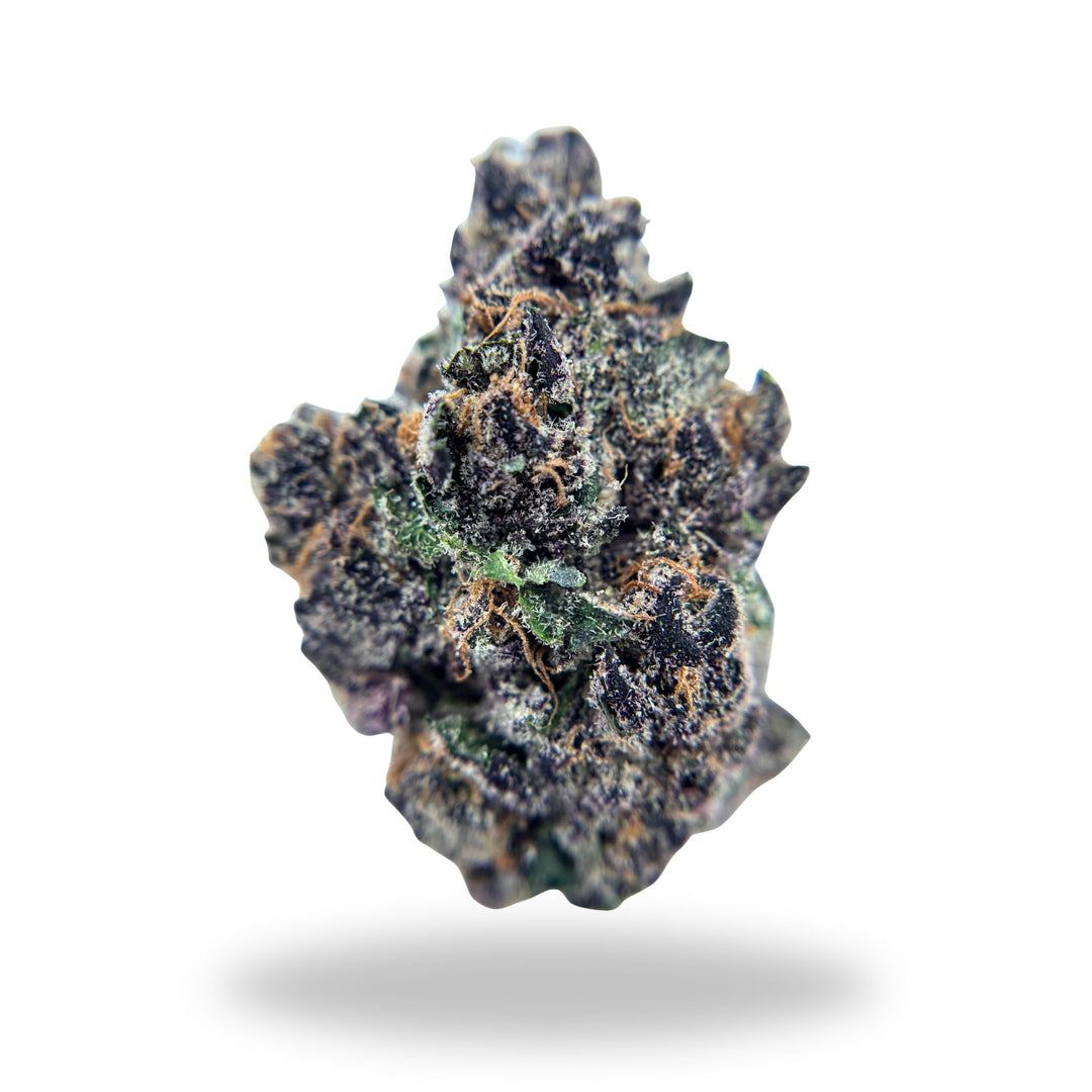 Halle Berry Legacy Farms Grade A THCa Flower Flower The Hemp Farmacy 