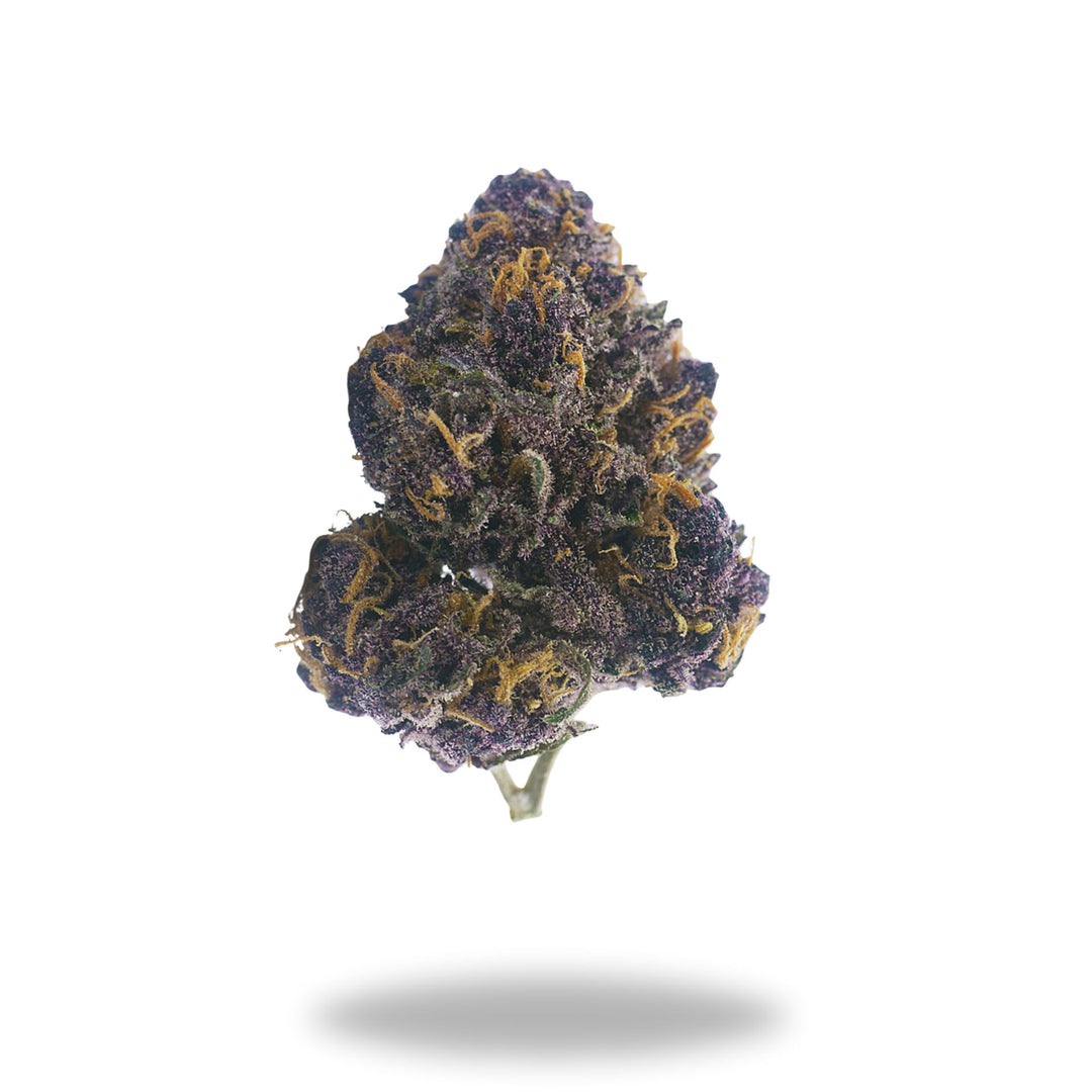 Huckelberry Soda Legacy Farms Harvest Collection Flower Flower The Hemp Farmacy 4 Grams 