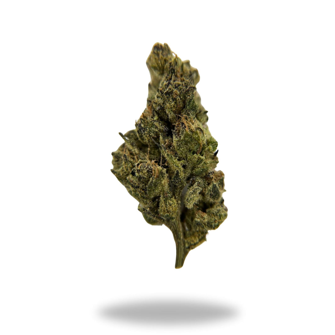 Kali Dog Legacy Farms Grade A THCa Flower Flower The Hemp Farmacy Eighth 