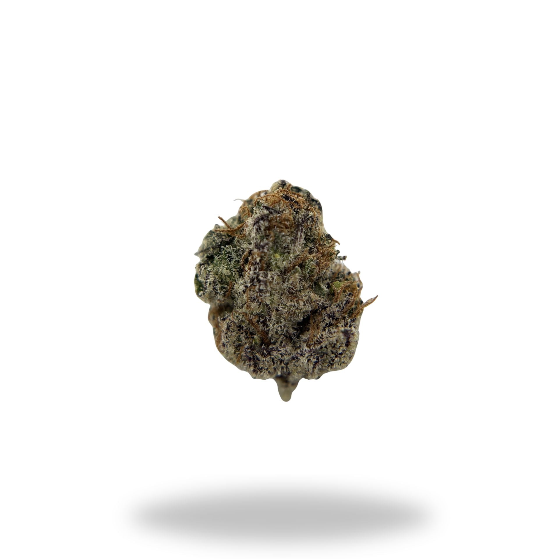 Larry Bird Legacy Farms Grade A THCa Flower (DO NOT PUBLISH) The Hemp Farmacy 