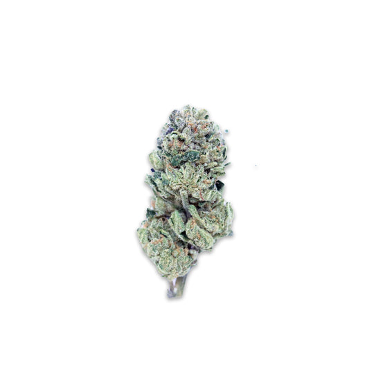 Life Hack Legacy Farms Grade A THCa Flower Flower The Hemp Farmacy Buy THCA flower online
Premium THCA flower
THCA flower for sale
Shop THCA products
Legal THCA flower
