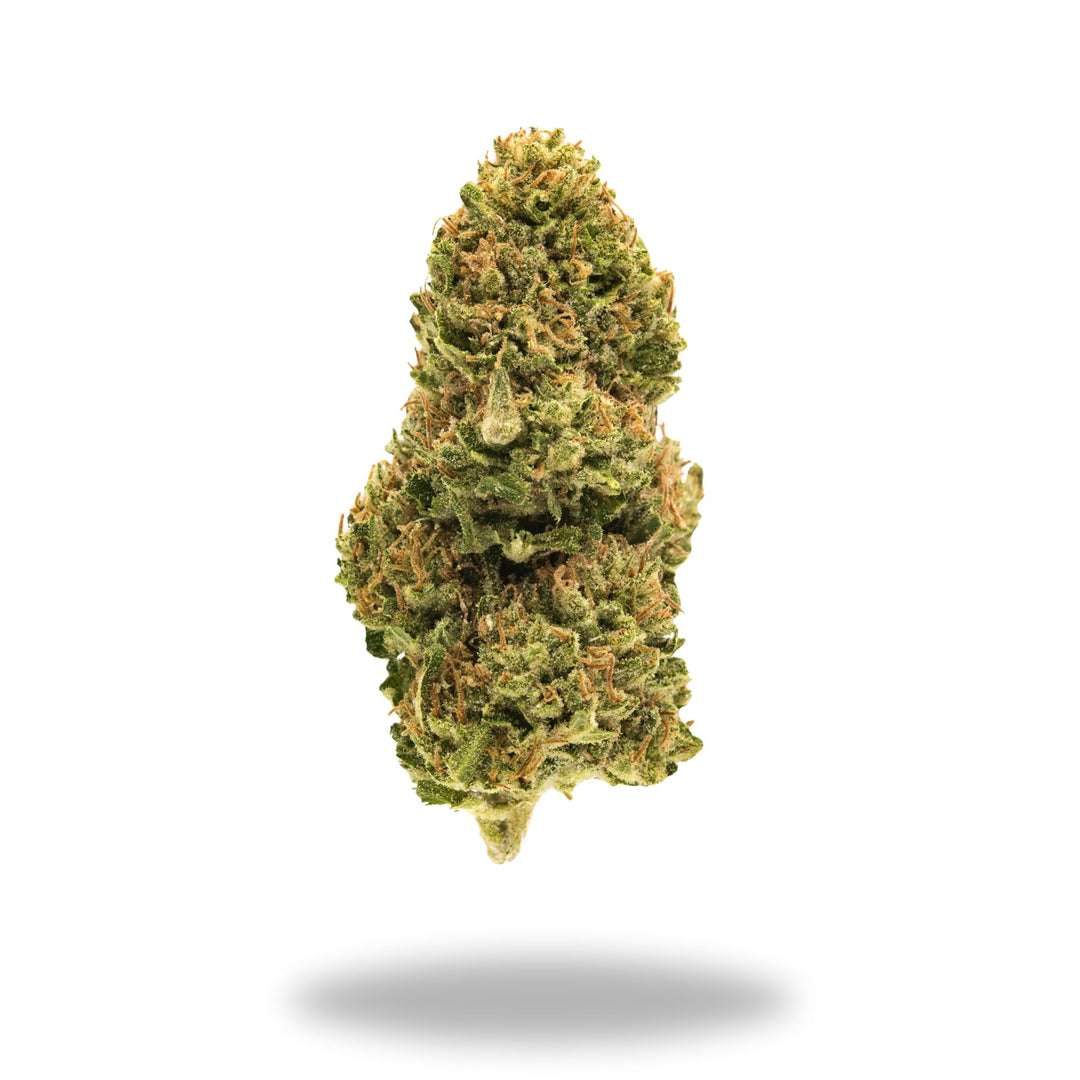 Midnight Oil Legacy Farms Grade A THCa Flower Flower The Hemp Farmacy 