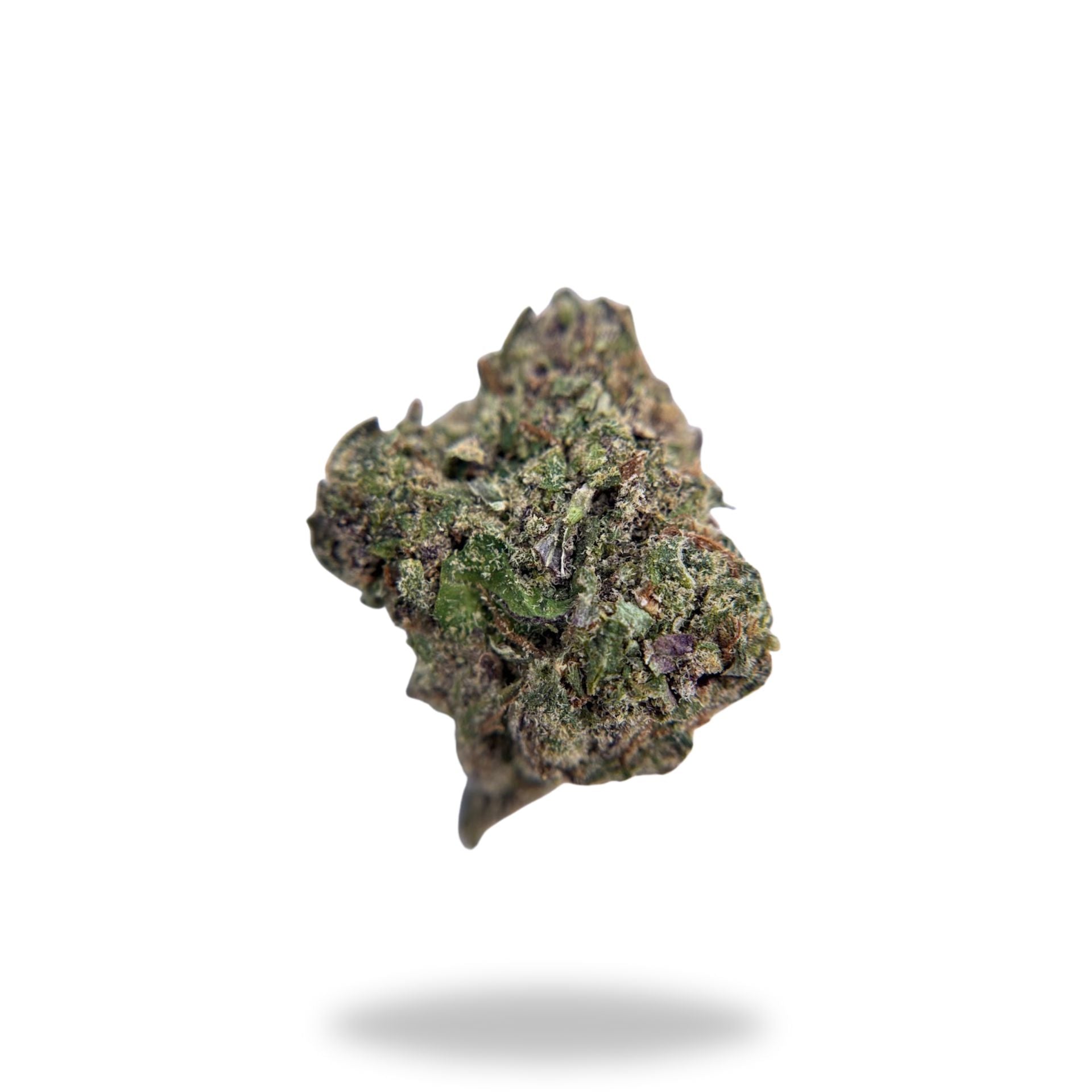 Noho Gelato Legacy Farms Grade A THCa Flower Flower The Hemp Farmacy 