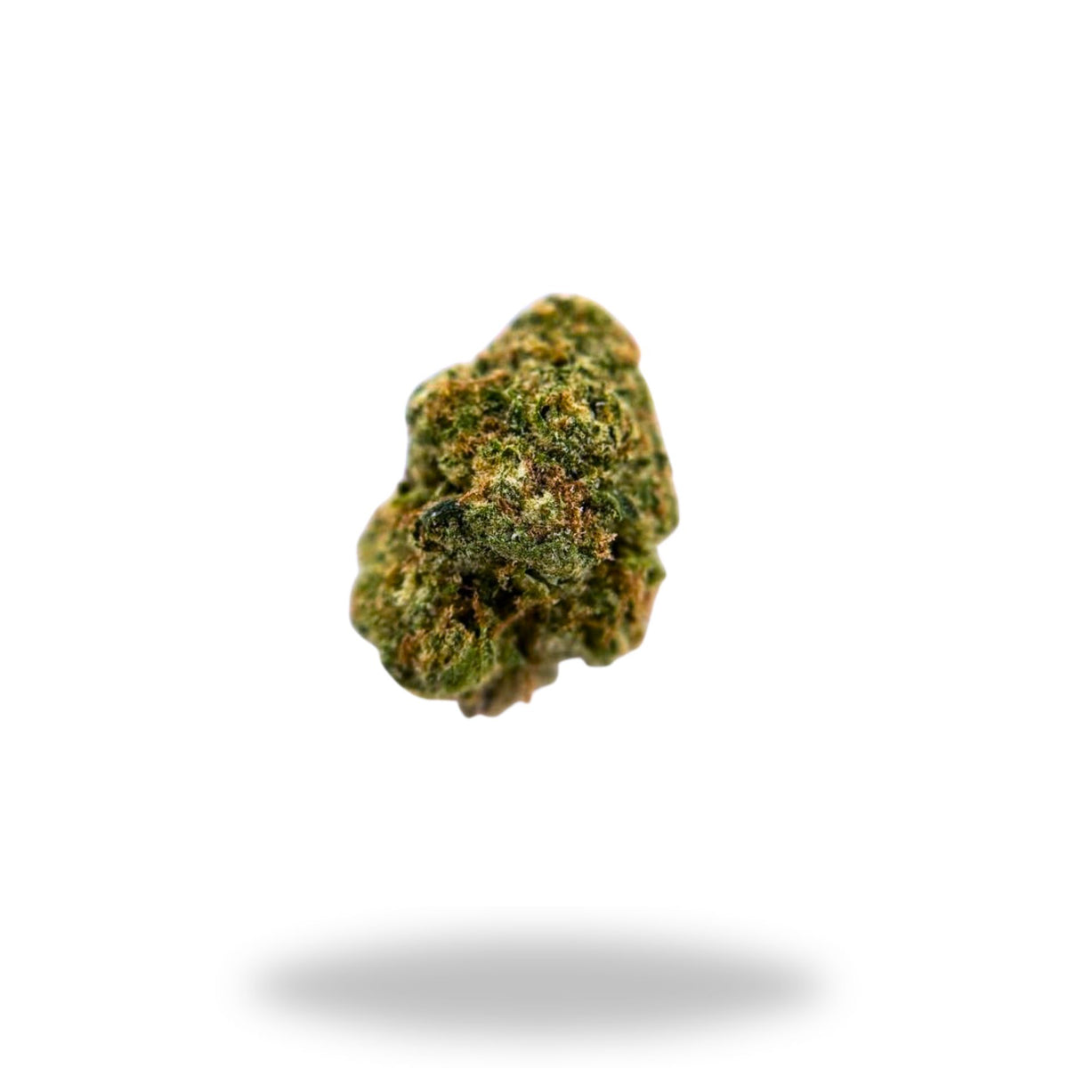 Orange Cookies Legacy Farms Grade A THCa Flower (NEED QOH) Flower Legacy Farms 
