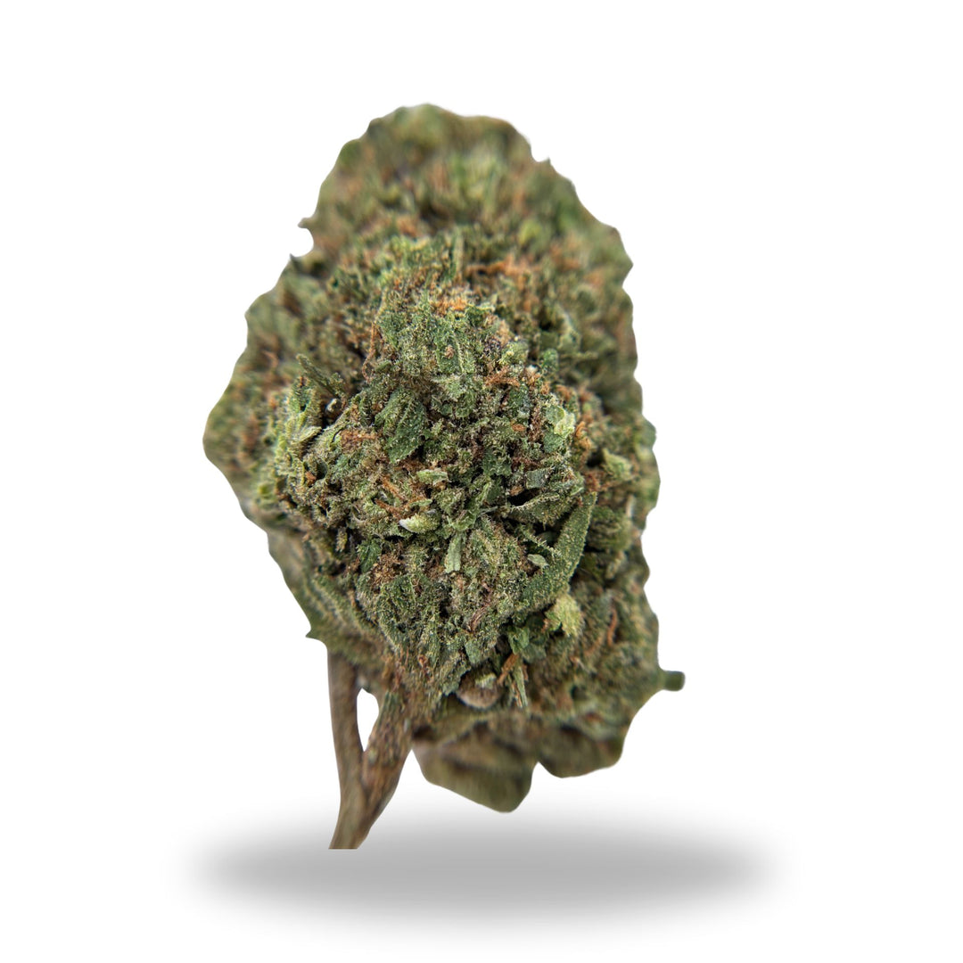Orange Malt Legacy Farms Harvest Collection Flower Flower The Hemp Farmacy 