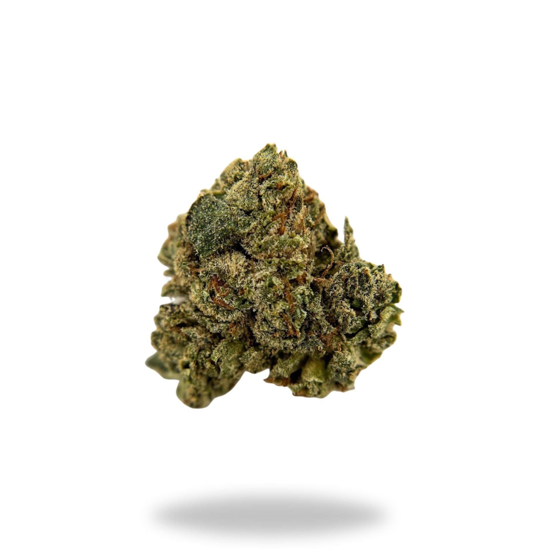 Oreoz Legacy Farms Harvest Collection Flower Flower Legacy Farm's 