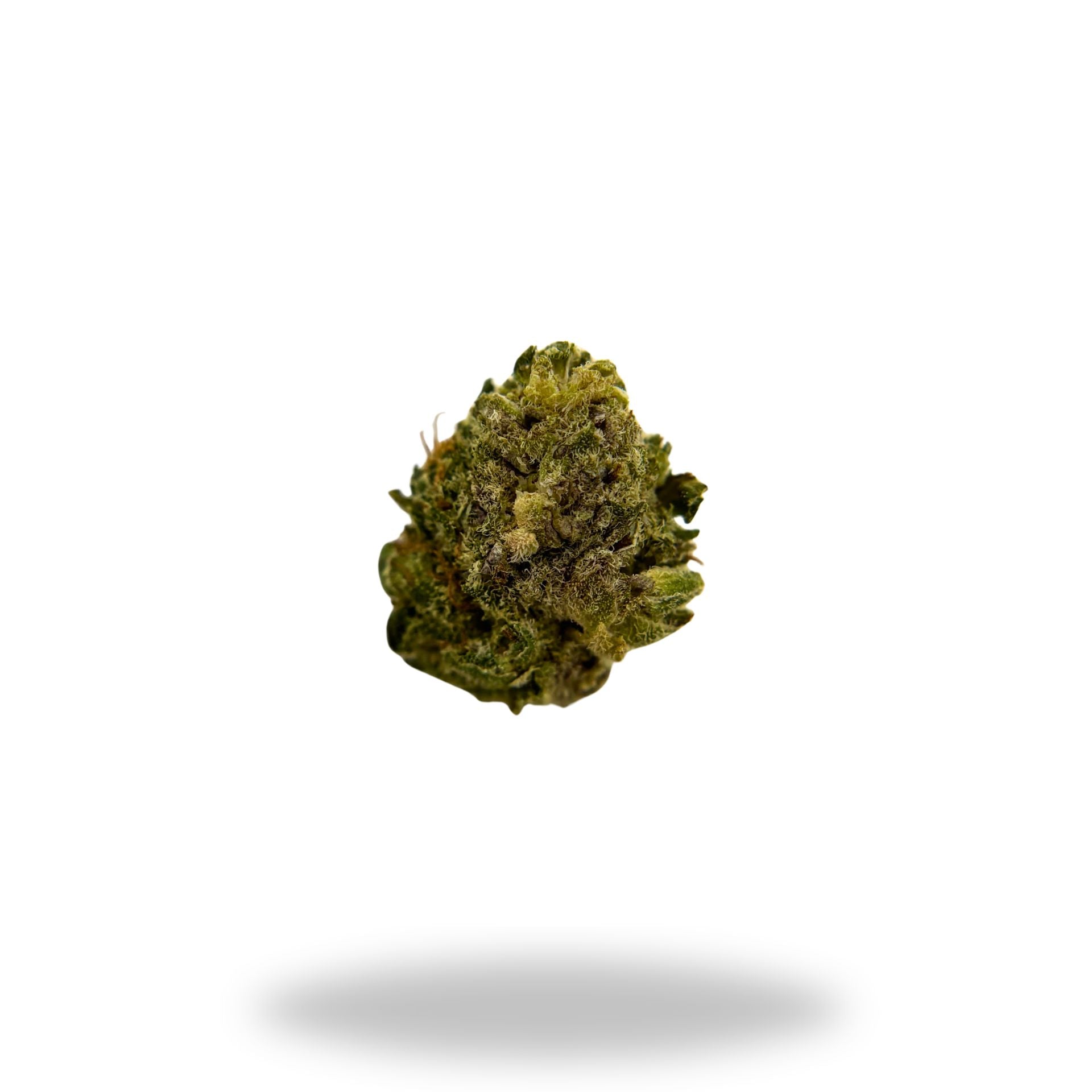 Papaya Drip Legacy Farms Harvest Collection Flower Flower Legacy Farms 