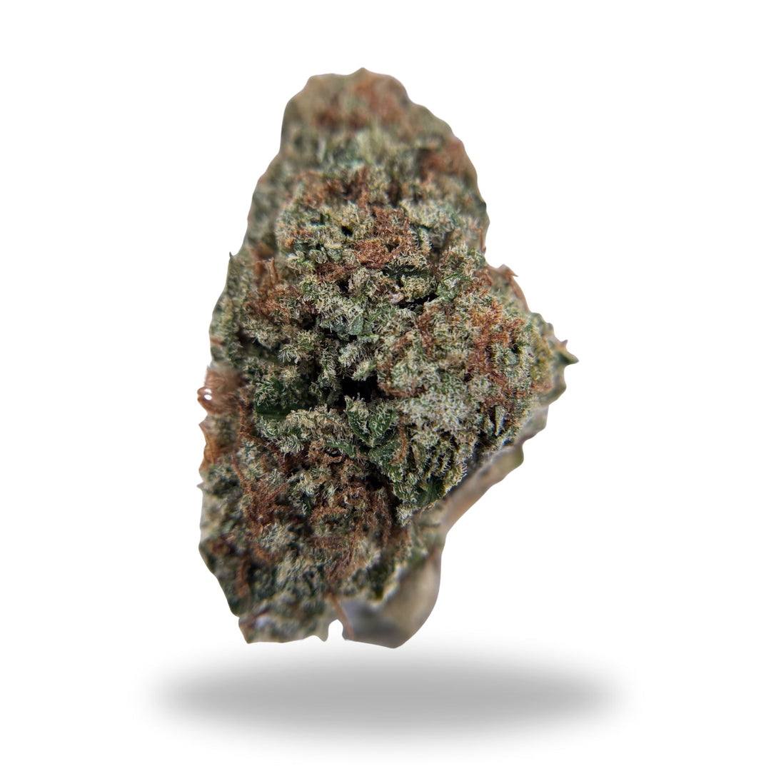 Papaya Punch Legacy Farms Grade A THCa Flower Flower The Hemp Farmacy Eighth 