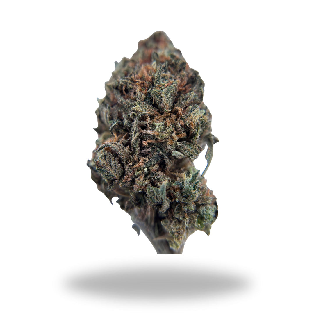 Rainbow Sherbet 54 Legacy Farms Harvest Flower The Hemp Farmacy 2 Grams 