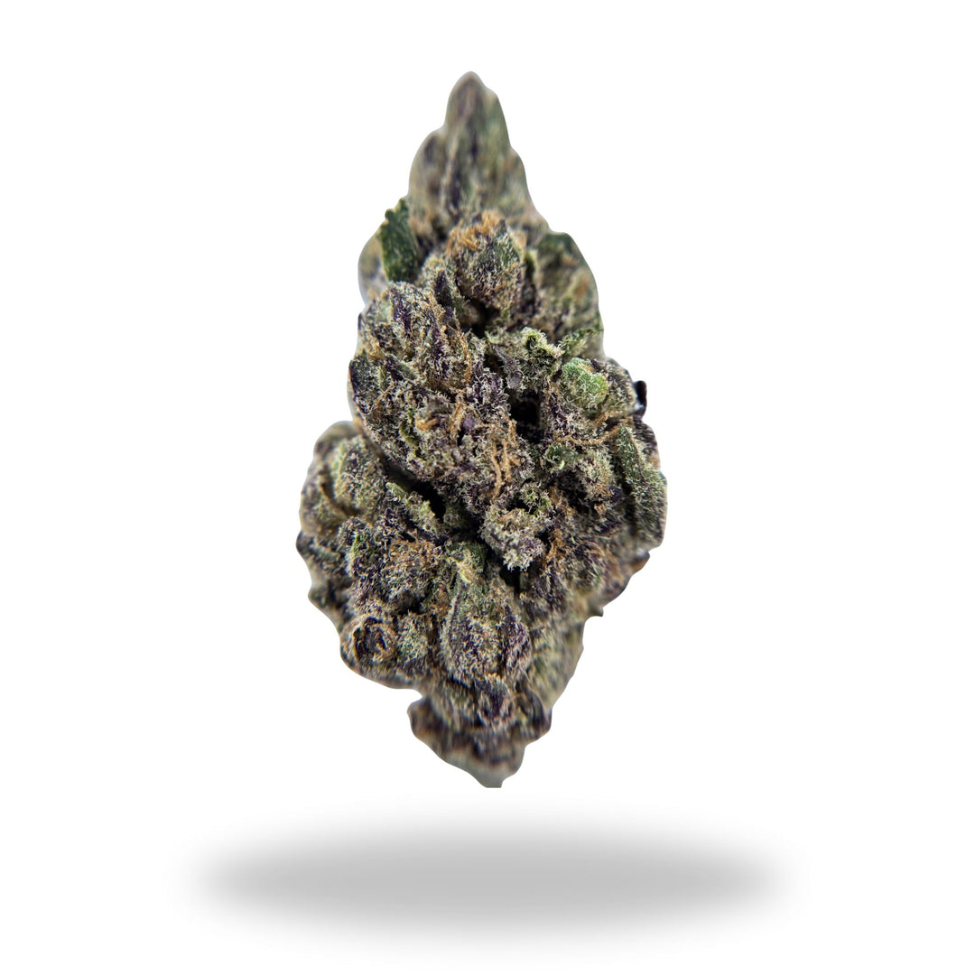 Rainbow Zangria Legacy Farms Grade A THCa Flower Flower The Hemp Farmacy 