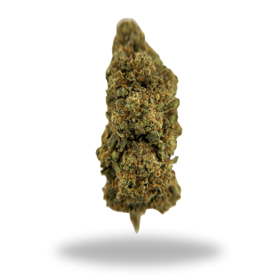 S’mores Legacy Farms Grade A THCa Flower Flower The Hemp Farmacy 