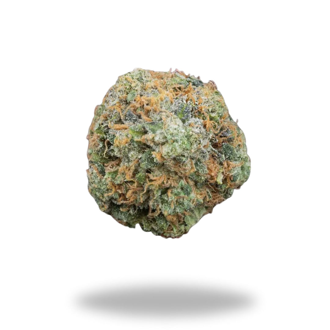 Starburst Legacy Farms Grade A THCa Flower The Hemp Farmacy Large Pre-roll 