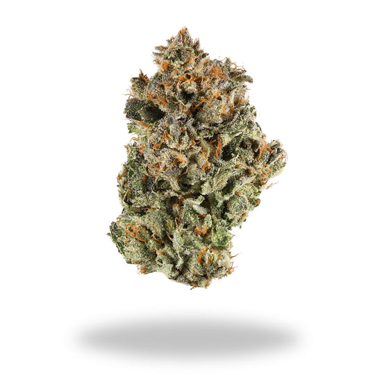Sunset Sherbert Legacy Farms Grade A THCa Flower Flower The Hemp Farmacy 