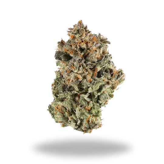Sunset Sherbert Legacy Farms Grade A THCa Flower Flower The Hemp Farmacy 