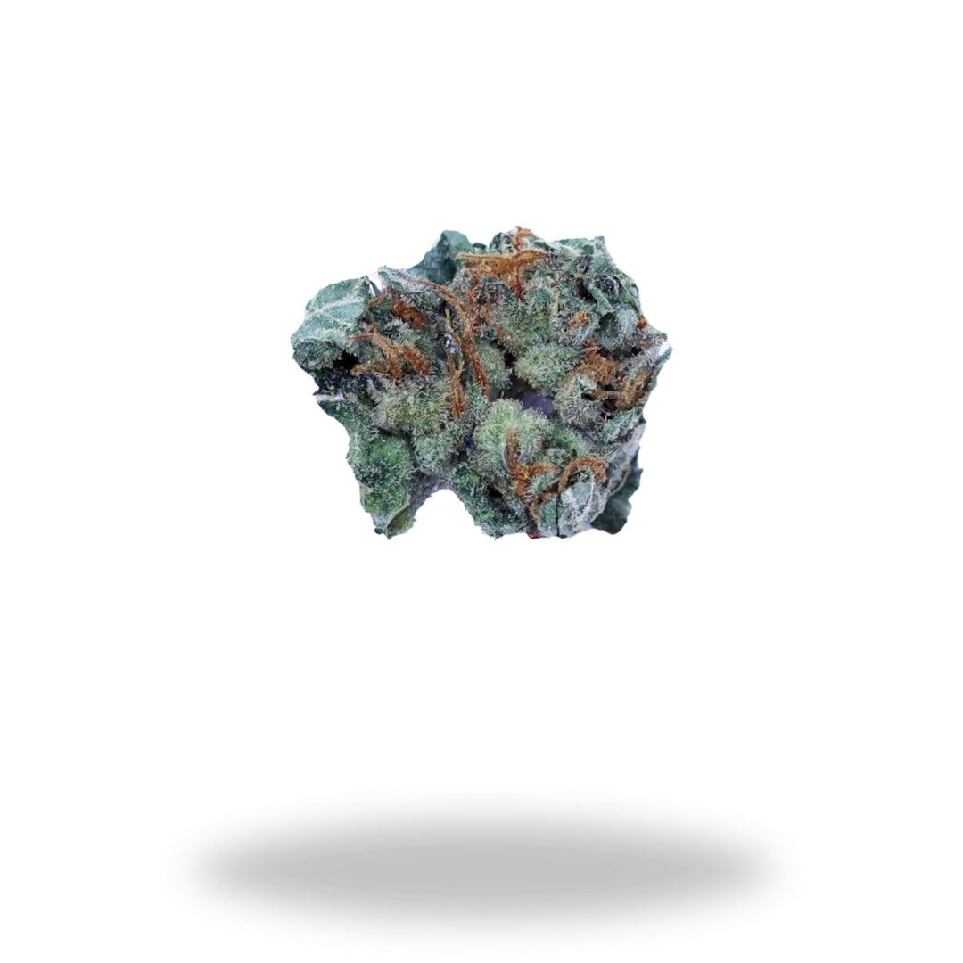 Super Lemon Haze Legacy Farms Grade A THCa Flower Flower The Hemp Farmacy 