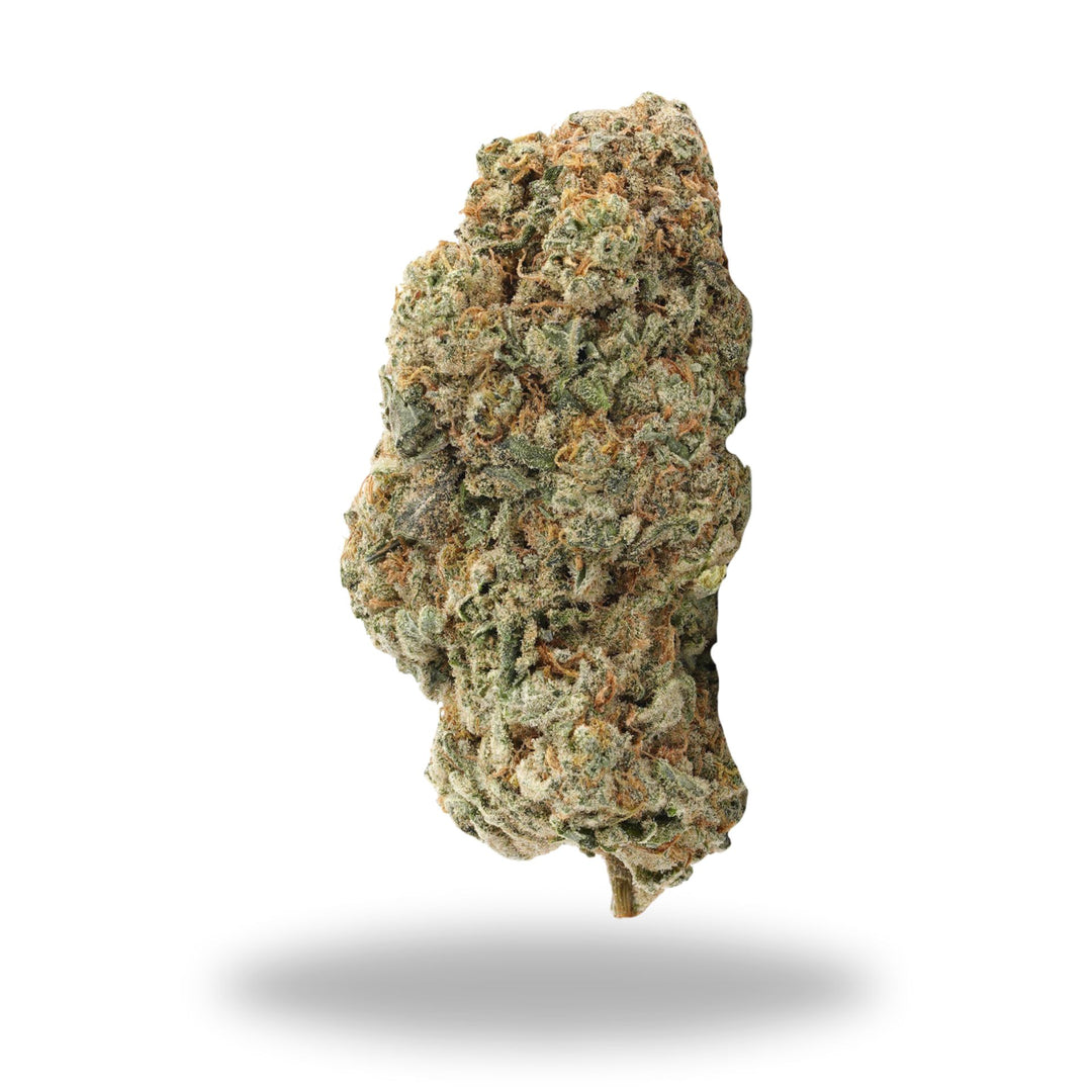 Super Silver Haze Legacy Farms Grade A THCa Flower Flower The Hemp Farmacy 