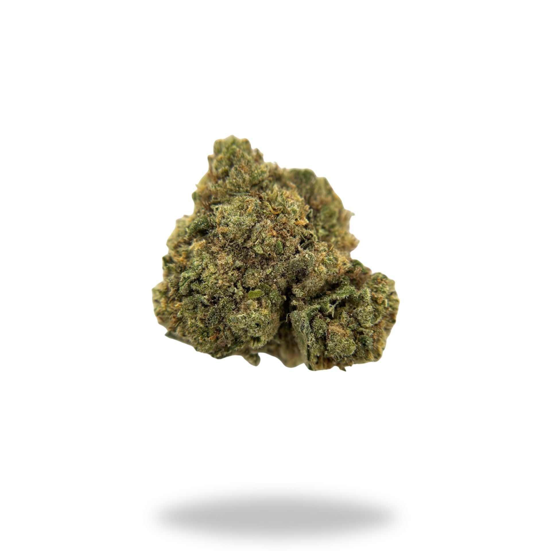 Sweet Melon Legacy Farms Harvest Collection Flower Flower Legacy Farm's 