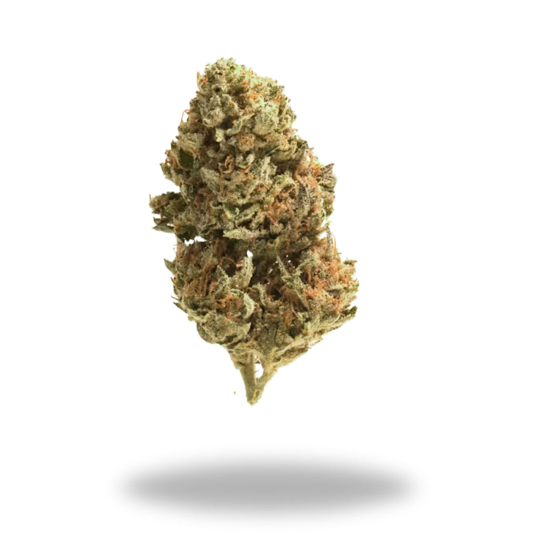 Yabba Dabba Do Legacy Farms Grade A THCa Flower The Hemp Farmacy Mini Pre-roll 